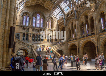 Personnes regardant le squelette de la baleine bleue au Musée d'Histoire naturelle de Londres, Royaume-Uni Banque D'Images