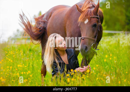 Belle femme nourrir son cheval arabe avec des collations dans le domaine Banque D'Images