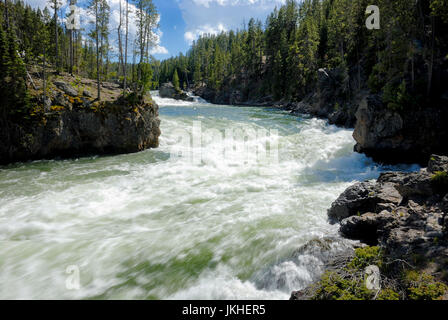 Haut de la partie supérieure de la tombe du grand canyon de la Yellowstone River, Yellowstone National Park, Wyoming, USA Banque D'Images