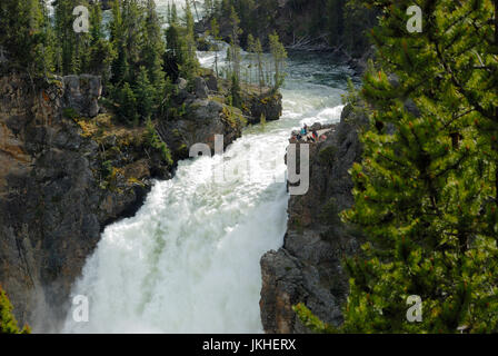 Les visiteurs sur le dessus de l'Upper falls, Parc National de Yellowstone, Wyoming, USA Banque D'Images