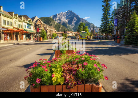 BANFF, ALBERTA, CANADA - LE 27 JUIN 2017 : de belles fleurs sur la célèbre Avenue Banff dans une journée ensoleillée. Banff est une ville de villégiature et populaires touris Banque D'Images