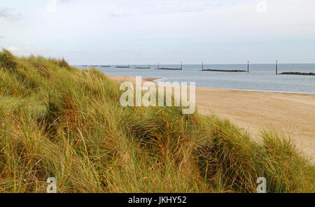 Une vue sur les dunes de sable, la plage, et des récifs artificiels sur la côte de Norfolk à waxham, Norfolk, Angleterre, Royaume-Uni. Banque D'Images