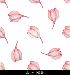 Hand drawn seamless pattern avec aquarelle fleurs rouge sur fond blanc Banque D'Images