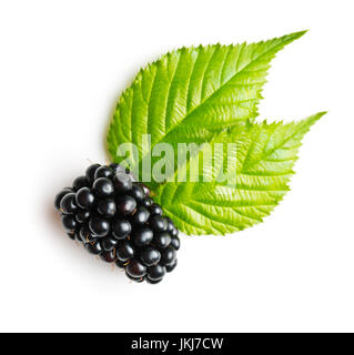 Tasty mûre et feuilles isolées sur fond blanc. Banque D'Images