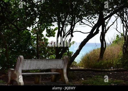 Des photographies de scènes prises à Tobago dispose d''un soleil water lily dans un étang, vide banc avec vue sur la mer et l'océan avec des vagues Banque D'Images