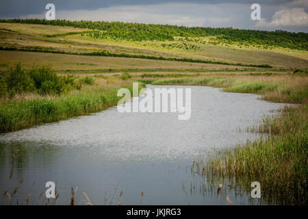 St Aidan's County Park, Leeds, Yorkshire, Angleterre Banque D'Images