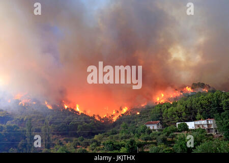 Vadstena, Split, Croatie - Juillet 17, 2017 : Incendie de forêt Massive la forêt et les villages autour de ville de Split Banque D'Images