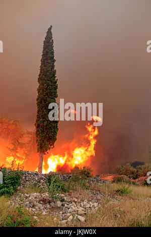 Vadstena, Split, Croatie - Juillet 17, 2017 : Incendie de forêt Massive la forêt et les villages autour de ville de Split Banque D'Images