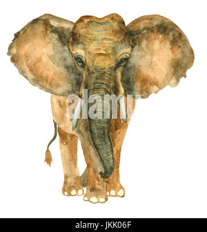 Éléphant dessiné à la main à l'aquarelle Banque D'Images