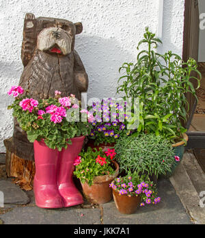 Les plantes à fleurs, géraniums, roses vives inc pink daisies, pourpre de plus en plus pensées dans le groupe de pots et bottes recyclées contre mur blanc Banque D'Images