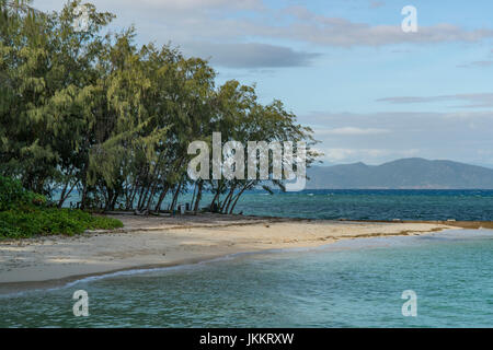 Plage sur l'île Green, Queensland, Australie Banque D'Images