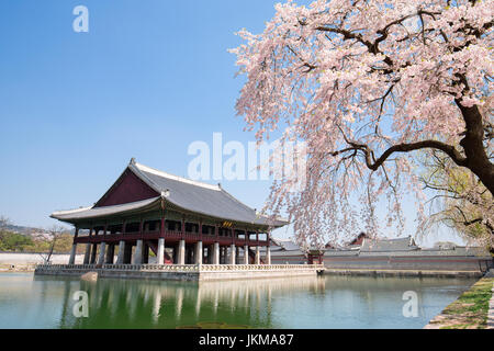 Le printemps à Gyeongbokgung palace. Banque D'Images