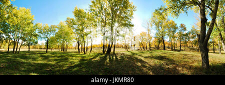 Un matin spectaculaire vue panoramique de paysages forestiers de campagne entouré de verdure les arbres d'automne. La province du Xinjiang en Chine. Banque D'Images