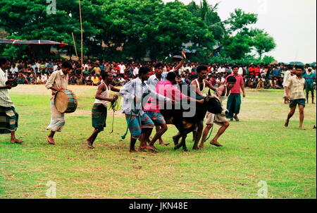 Corrida EST L'UNE DES jeu passionnant et intéressant à BIL ET ZONE HAOR DE BANGLADESH RURAL PENDANT DES CENTAINES D'ANNÉES QUI A LIEU en saison sèche. Banque D'Images