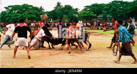 Corrida EST L'UNE DES jeu passionnant et intéressant à BIL ET ZONE HAOR DE BANGLADESH RURAL PENDANT DES CENTAINES D'ANNÉES QUI A LIEU en saison sèche. Banque D'Images