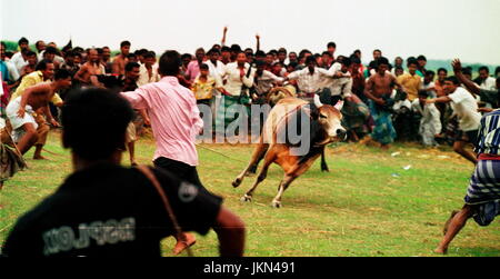 Corrida EST L'UNE DES jeu passionnant et intéressant à BIL ET ZONE HAOR DE BANGLADESH RURAL PENDANT DES CENTAINES D'ANNÉES QUI A LIEU en saison sèche. Banque D'Images