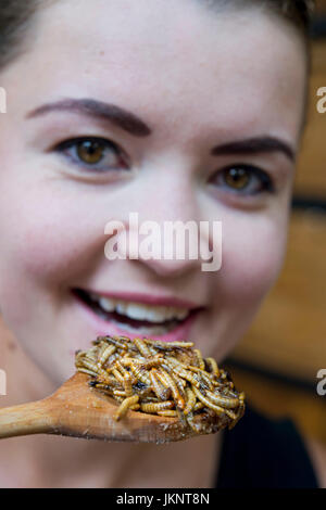 Prague, République tchèque. 22 juillet, 2017. Zoo de Prague a préparé des plats pour les visiteurs de l'insecte inhabituel dans la journée d'insectivores à Prague, République tchèque, le 22 juillet 2017. Sur la photo Erika Prokesova montre Tenebrio molitor, larve, ténébrion meunier. Photo : CTK Vit Simanek/Photo/Alamy Live News Banque D'Images