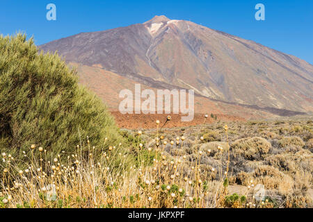 Volcan du Teide vue depuis le Roques de Garcia, le Parc National du Teide, Tenerife, Canaries, Espagne Banque D'Images