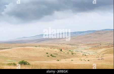 Vue sur la prairie aride sans fin avec les prairies sèches et paysage à la fin de l'été près de Billings, Montana, USA. Banque D'Images