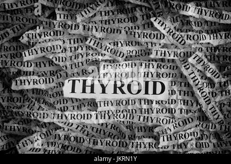 Thyroïde. Morceaux de papier avec les mots thyroïde. Notion de droit. Noir et blanc. Libre. Banque D'Images