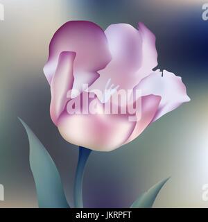Tulipes fleur pétale printemps tulip bouquet plante isolée sur fond blanc Illustration de Vecteur