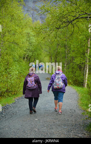 Marcher jusqu'à Glacier Briksdal olden, Norvège Banque D'Images