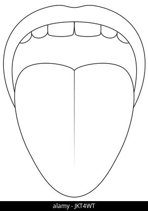 Symbole de la flèche - l'icône Contour illustration sur fond blanc. Banque D'Images