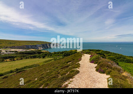 Vue sur les aiguilles de Headon Warren, île de Wight, Royaume-Uni Banque D'Images