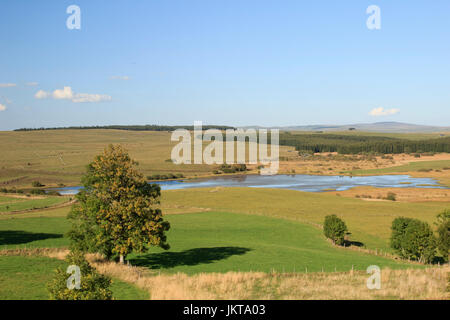 France, Cantal (15), Ségur-les-Villas, toubière du Jolan // France, Cantal, Ségur les Villas, tourbière du Jolan Banque D'Images