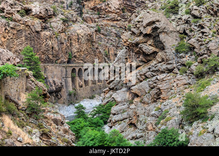 Scala di Santa Regina, Golo, Calacuccia, Corse, France Banque D'Images