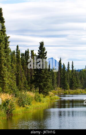 Beauté de Kelly Lake reflète celle de l'Alaska été belle scène à Kenai National Wildlife Refuge. Paysage avec copie espace vertical dans le ciel. Banque D'Images