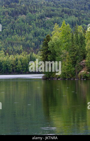 Hidden Lake reflète été en Alaska à Kenai National Wildlife Refuge. Banque D'Images