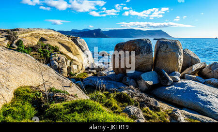 Penquin naviguer vers le bas les rochers à Boulders Beach à Simons Town, près de Cape Town Afrique du Sud Banque D'Images