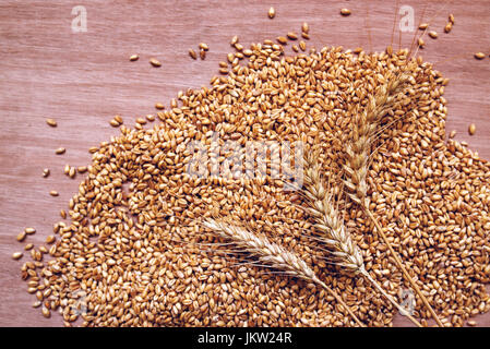 Les épis de blé et des grains après la récolte des cultures de céréales, l'agriculture et l'élevage concept Banque D'Images