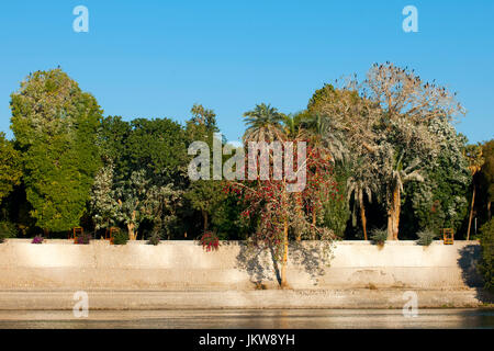 Aegypten, Assouan, Botanischer Garten auf der Kitchener-Insel Banque D'Images