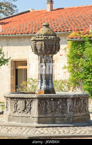 France, Puy-de-Dôme (63), Saint-Saturnin, labellisé Les Plus Beaux Villages de France, fontaine d'époque renaissance, tel est mon-nous (nous  = utilisation) est Banque D'Images