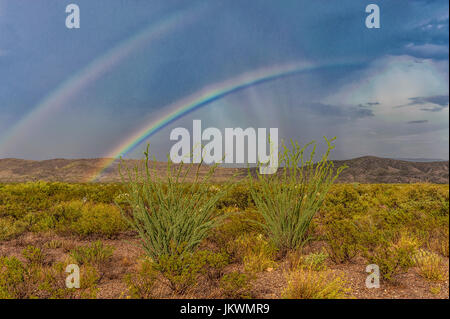 Double arc-en-ciel après la tempête dans la région de Big Bend National Park Banque D'Images