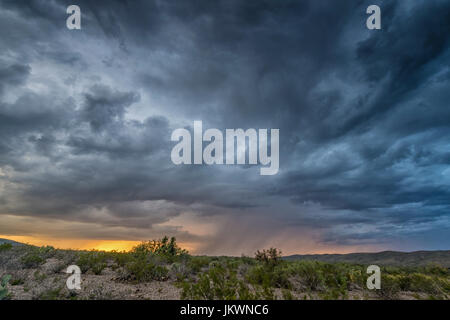 Pluie en orage en Big Bend National Park Banque D'Images