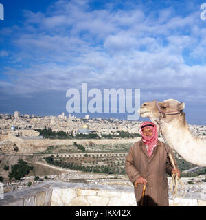 Steht Ein Mann mit seinem Kamel auf dem Ölberg, im Hintergrund die Stadt Jérusalem, Israël des années 1980 er Jahre. Un homme avec son chameau debout sur le Mont des Oliviers, à l'arrière-plan la ville de Jérusalem, Israël des années 1980. Banque D'Images