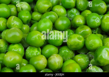 Pois surgelés peases texture background. Motif de fond vert pease. Banque D'Images