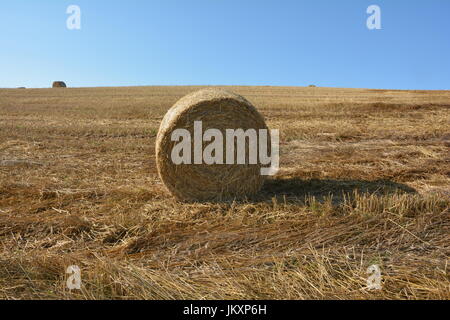 Une balle de paille à partir de l'avant sur le champ de chaume Banque D'Images