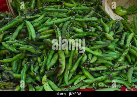 Les pois verts en dosettes Banque D'Images