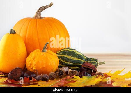 Diverses variétés de citrouille se situent sur le feuillage coloré Banque D'Images