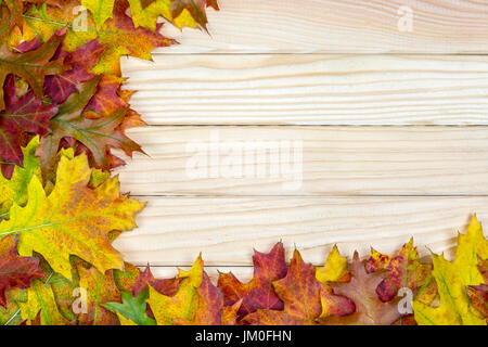 Motif de feuilles d'automne se trouvent sur des panneaux en bois Banque D'Images
