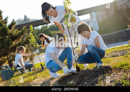 La plantation de nouveaux garçons attentif tree in park Banque D'Images