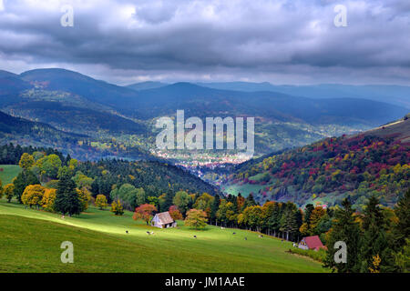 Une vue d'automne du Parc Naturel des Ballons des Vosges en Alsace, France Banque D'Images