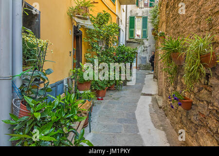 Rue de la vieille ville, Portovenere, Cinque Terre, La Spezia, ligurie, italie Banque D'Images