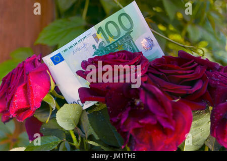 Une centaine d'euros fixé sur le bouquet de roses, vert feuillage dans l'arrière-plan flou Banque D'Images