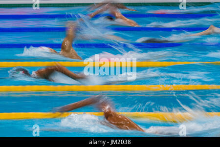 Budapest, Hongrie. Le 25 juillet, 2017. Le 800 m nage libre Hommes qualifications au Championnats du monde FINA 2017 à Budapest, Hongrie, 25 juillet 2017. Photo : Jens Büttner/dpa-Zentralbild/dpa/Alamy Live News Banque D'Images