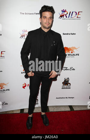 Hollywood, Etats-Unis. 23 juillet, 2017. 23 juillet 2017 - Hollywood, Californie - Mark Ballas. Ride Foundation - gala inaugural de la danse pour l'Afrique. Crédit photo : F. Sadou/AdMedia Crédit : F. Sadou/AdMedia/ZUMA/Alamy Fil Live News Banque D'Images